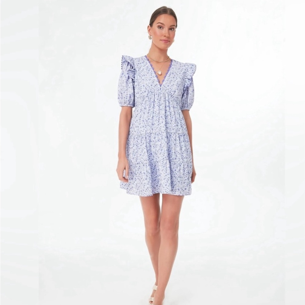 Tuckernuck Hyacinth House Leonie Dress NWT size small
